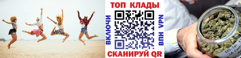 Магазины продажи наркотиков Новозыбков MEGA ССЫЛКА  Alpha PVP  Мефедрон  ГАШ  МАРИХУАНА  КОКАИН 
