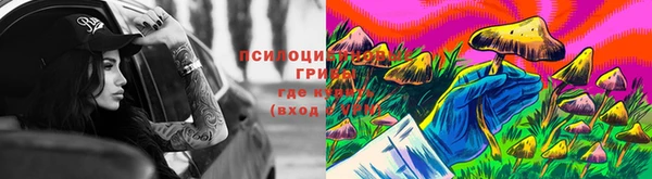 Альфа ПВП Новодвинск