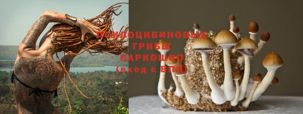 а пвп мука Новозыбков