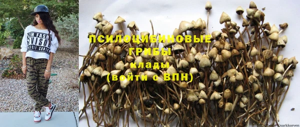 гашиш Нея