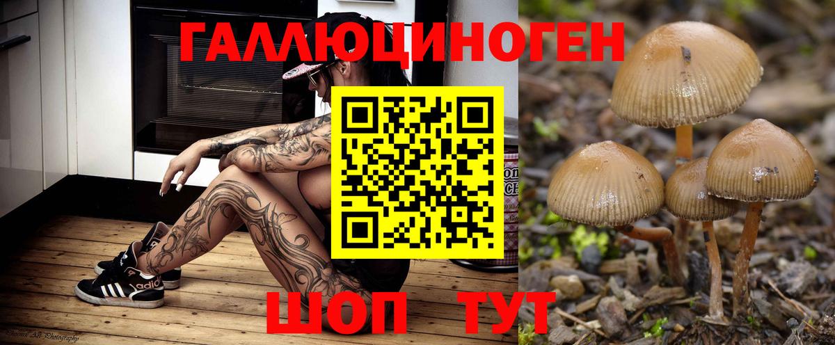 Галлюциногенные грибы GOLDEN TEACHER Новозыбков