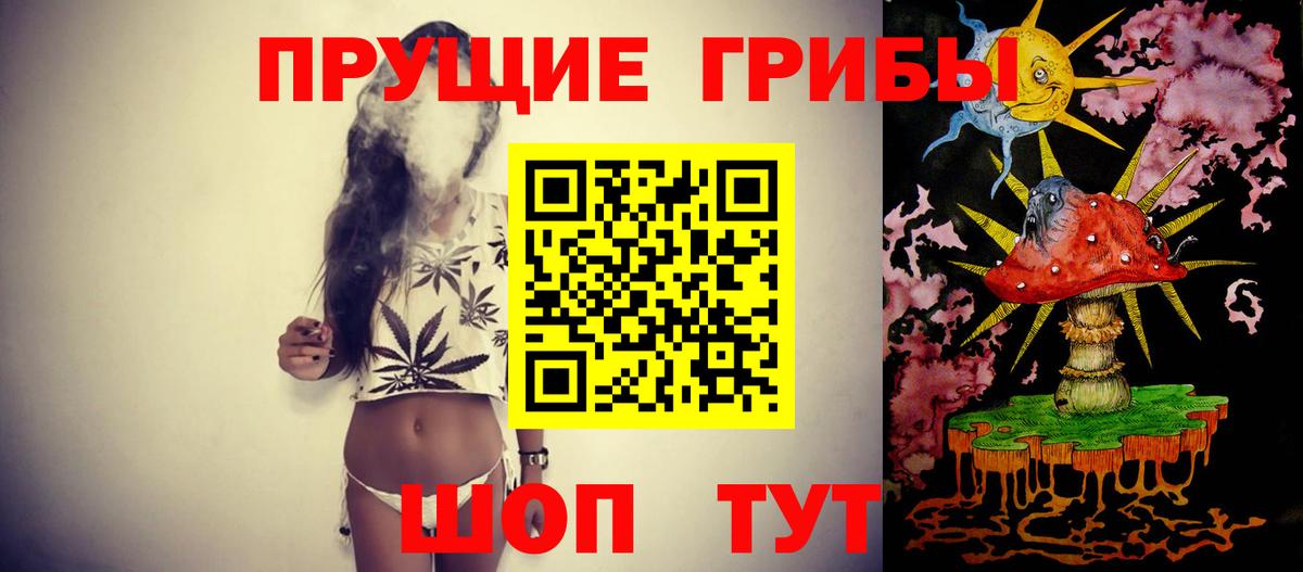 Псилоцибиновые грибы ЛСД  Вход с VPN  Новозыбков 
